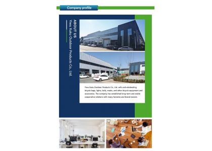 company profile